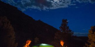 7 répulsifs de moustiques qui fonctionnent réellement