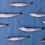 Comment Shuck Oysters en 3 étapes simples