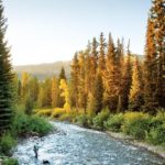 Guide du débutant pour la pêche à la mouche: informations obligatoires, information sur les engins et la sécurité