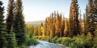 Guide du débutant pour la pêche à la mouche: informations obligatoires, information sur les engins et la sécurité