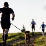 Les meilleurs chiens à courir avec