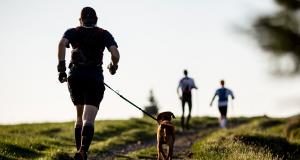 Les meilleurs chiens à courir avec