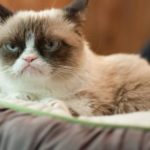 Toujours dans une mauvaise humeur? Vos amis pourraient être à blâmer.